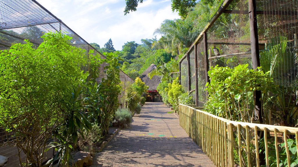 Parque zoológico de aves Umgeni River ofreciendo un jardín