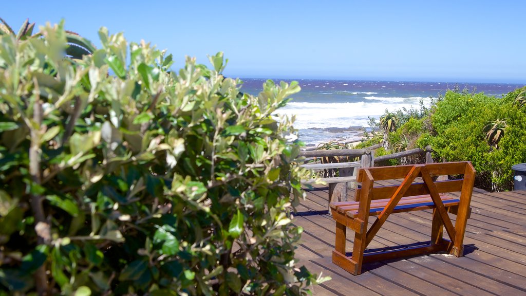 Dolphin Beach showing general coastal views