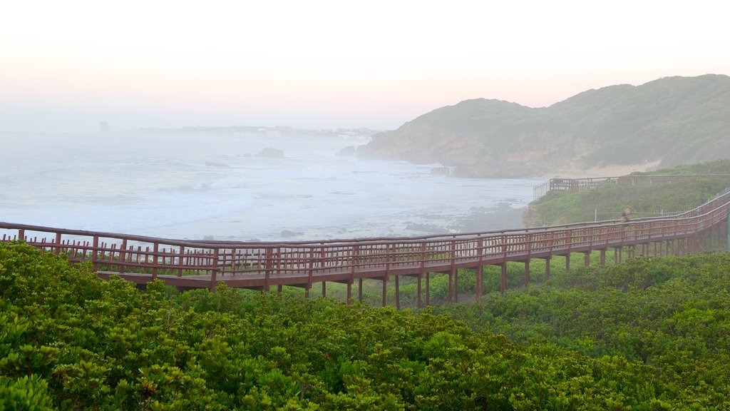 Playa de Nahoon ofreciendo niebla o neblina, un puente y vista panorámica