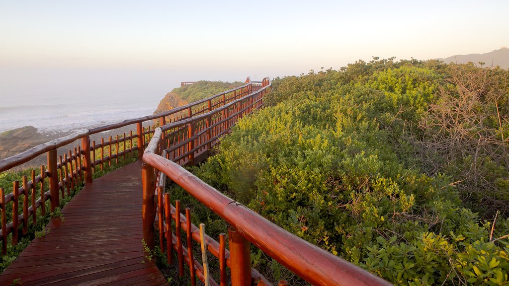 Nahoon Beach showing landscape views and general coastal views