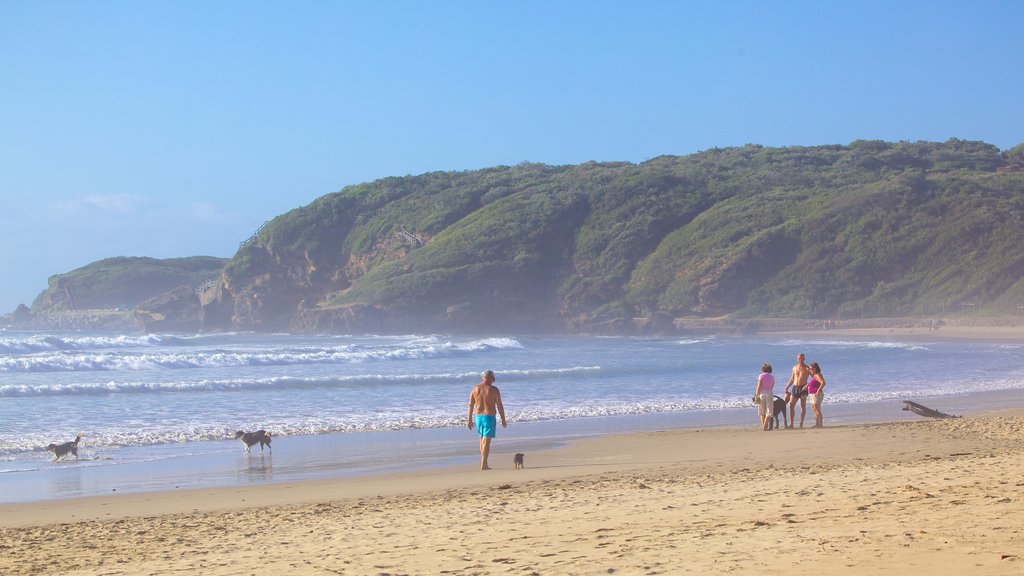 Playa de Nahoon mostrando vistas de paisajes, una playa de arena y vistas generales de la costa