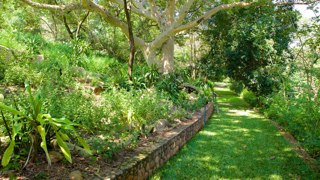 Lowveld Botanical Garden which includes a garden