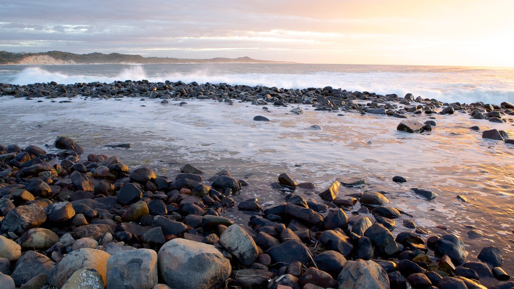 East London featuring a pebble beach, a coastal town and rocky coastline