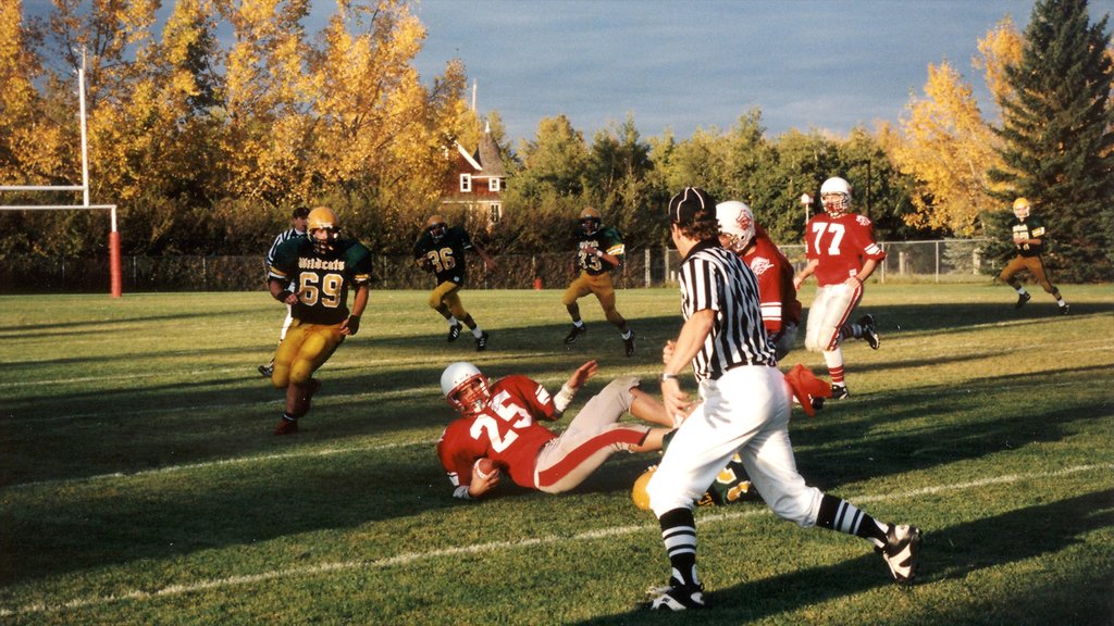 Red Deer que incluye un evento deportivo y hojas de otoño