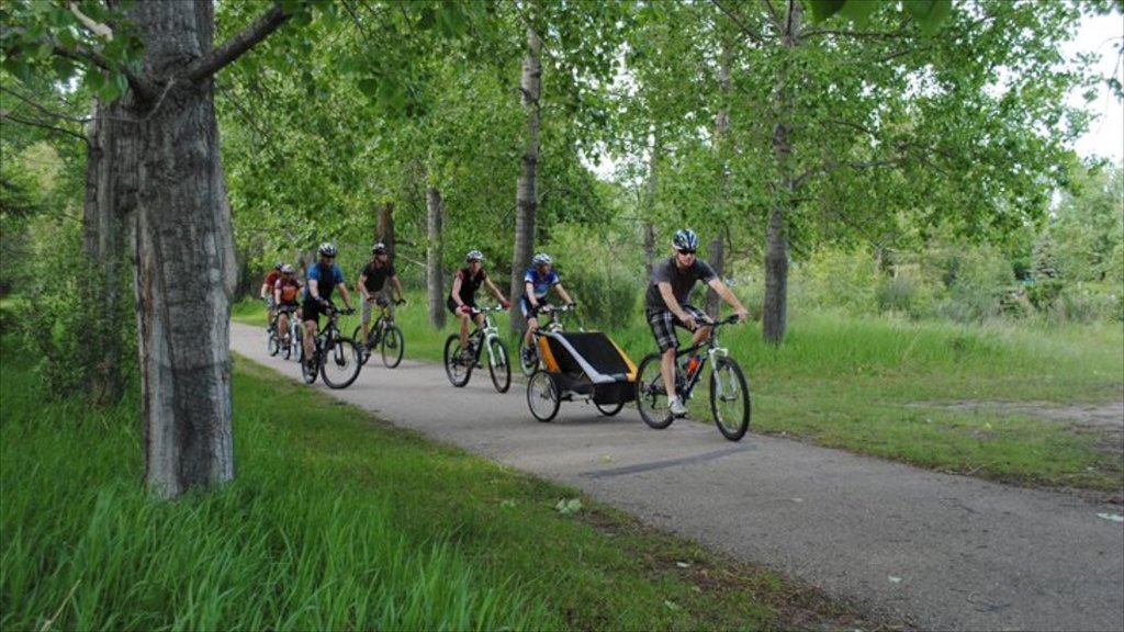 Red Deer toont bos en fietsen