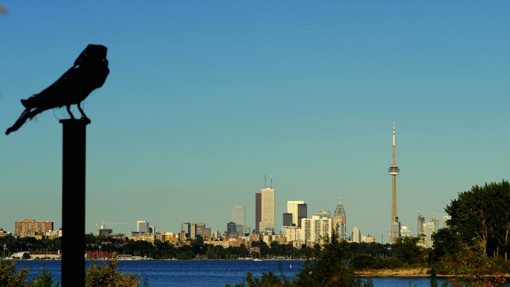 Centre Island presenterar en stad, en skyskrapa och fåglar