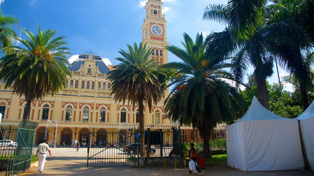 Itajaí qui includes église ou cathédrale, ville et scènes de rue