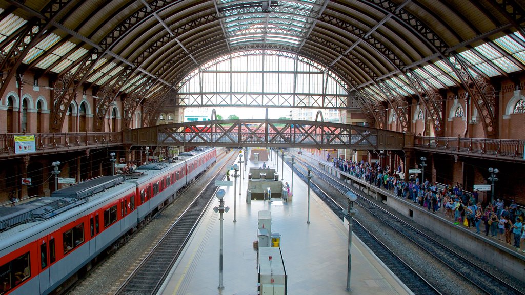 Itajai showing railway items, interior views and a city