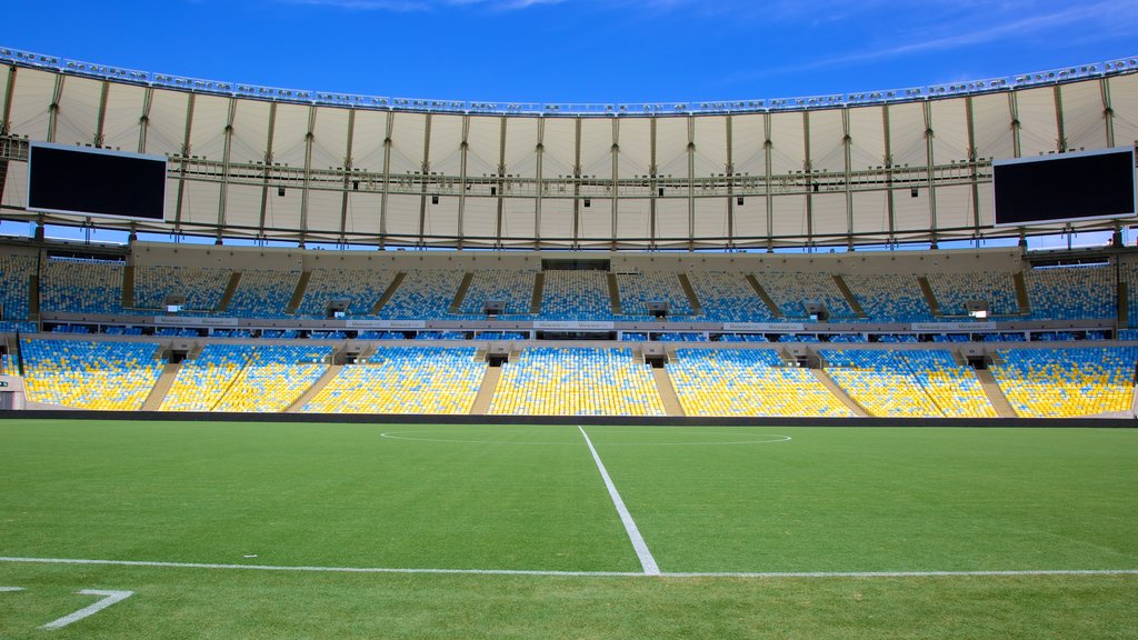 Maracana Stadium showing a city