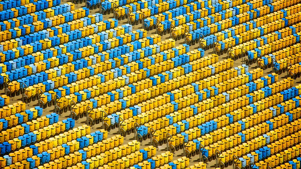 Estadio Mario Filho