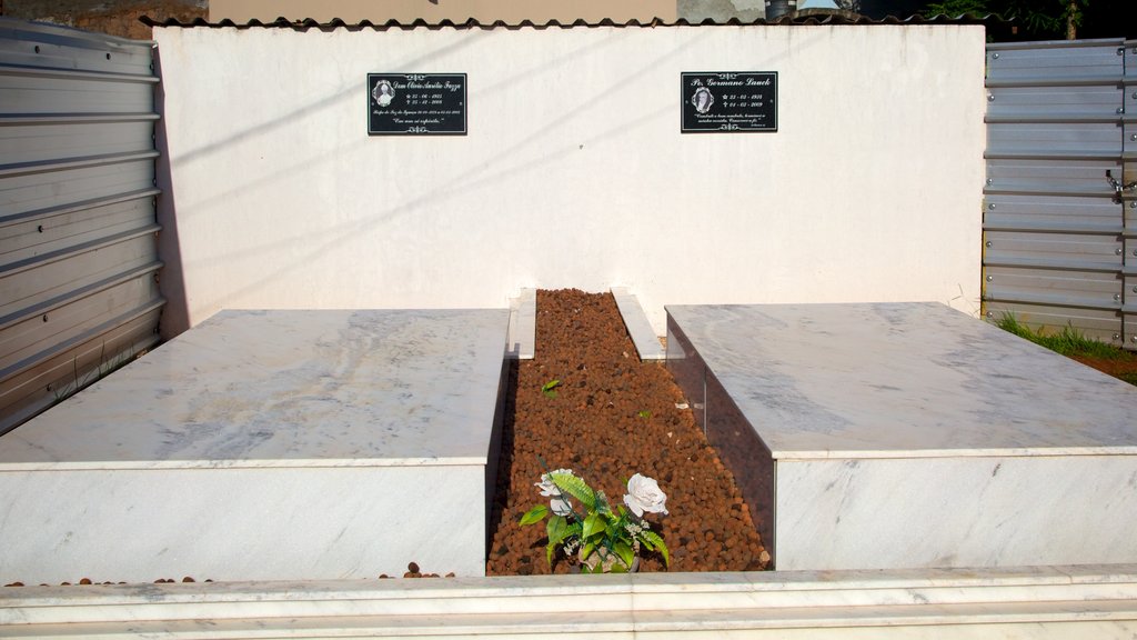 Catedral de São João Batista caracterizando uma igreja ou catedral e aspectos religiosos