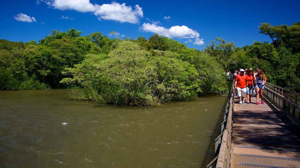 Garganta del Diablo mostrando un puente, un jardín y un río o arroyo