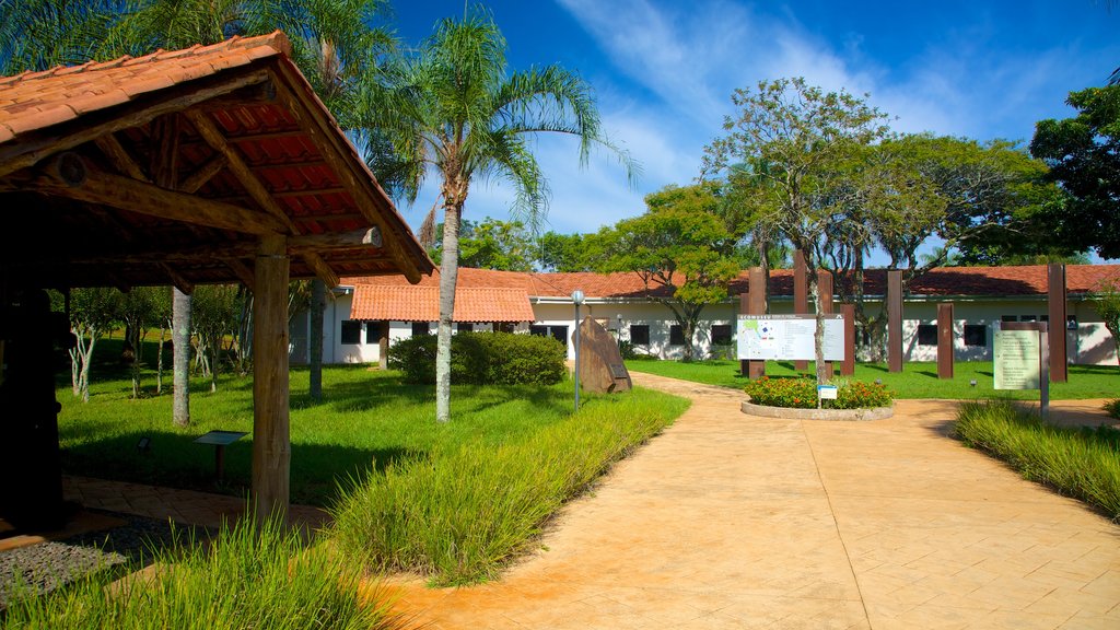 Museo Ecológico mostrando jardín