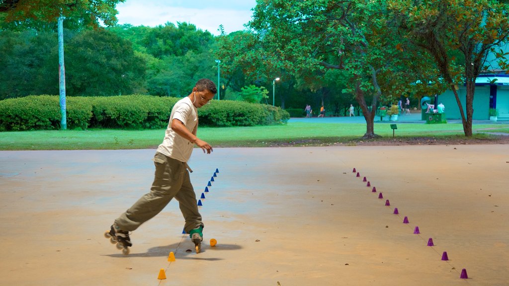 Ibirapuera Park featuring a park as well as an individual male