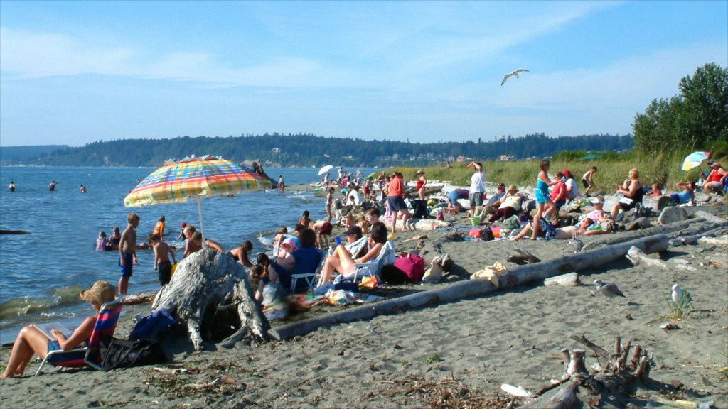 Everett showing a sandy beach as well as a large group of people