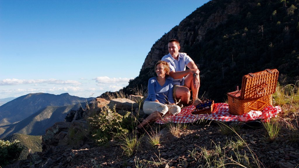 Sierra Vista que inclui piquenique assim como um casal