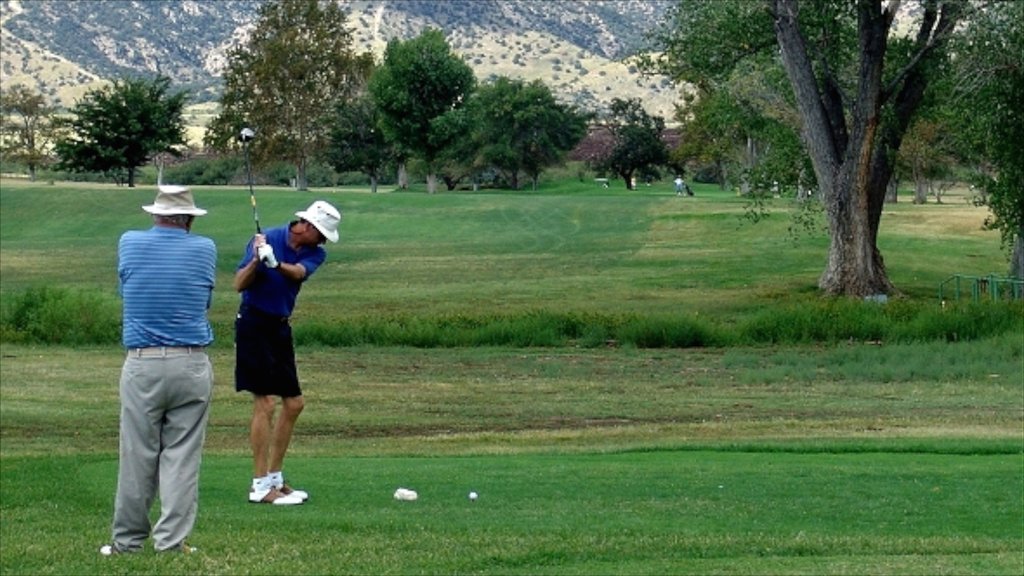 Sierra Vista which includes golf