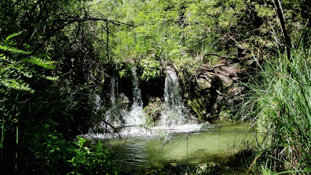 Sierra Vista showing a waterfall and a pond