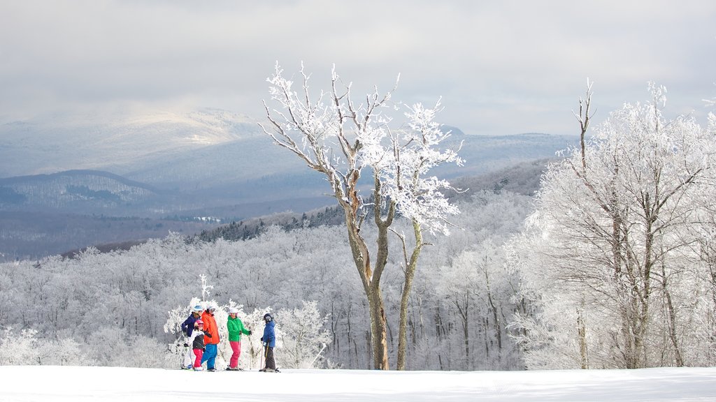 The Berkshires mostrando neve assim como uma família