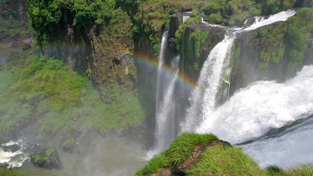 Chutes d\'Iguazú mettant en vedette une chute