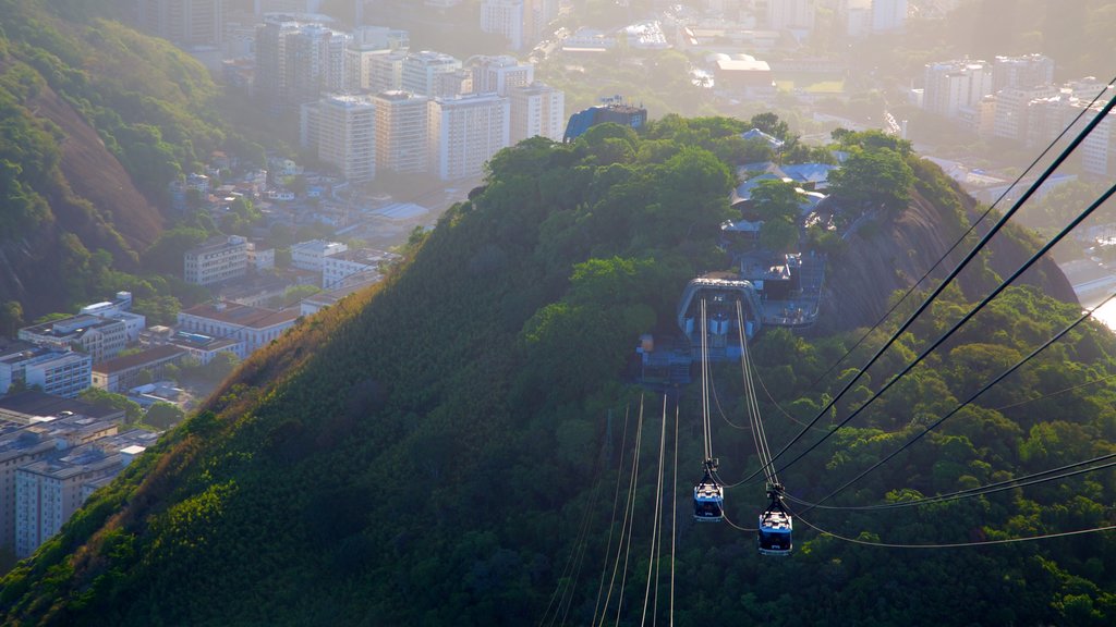 Sugar Loaf Mountain featuring a gondola