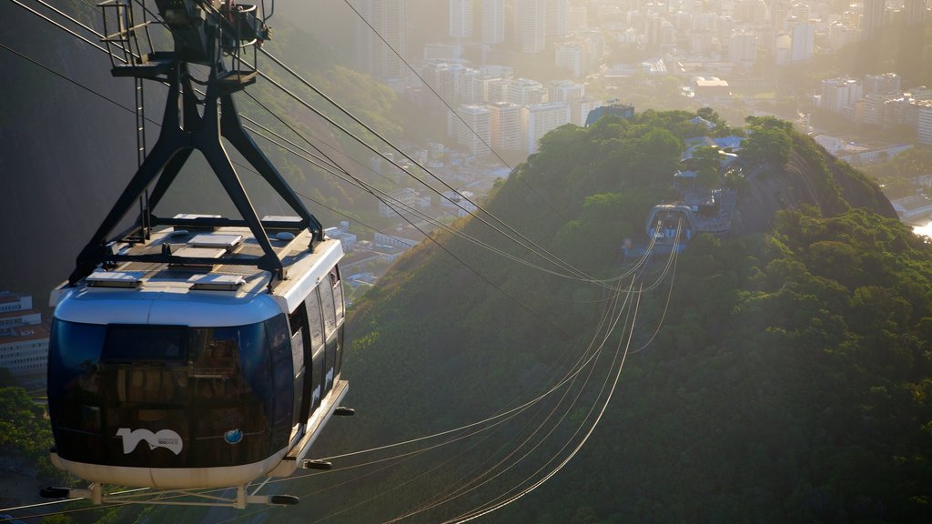 Sugar Loaf Mountain showing a gondola