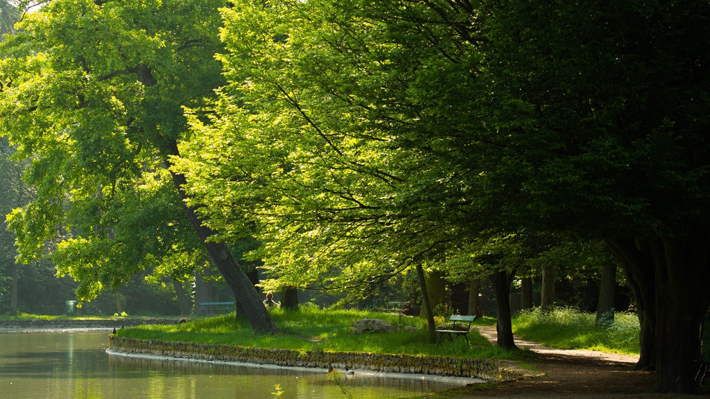 Jardin d\'Acclimatation caracterizando um jardim