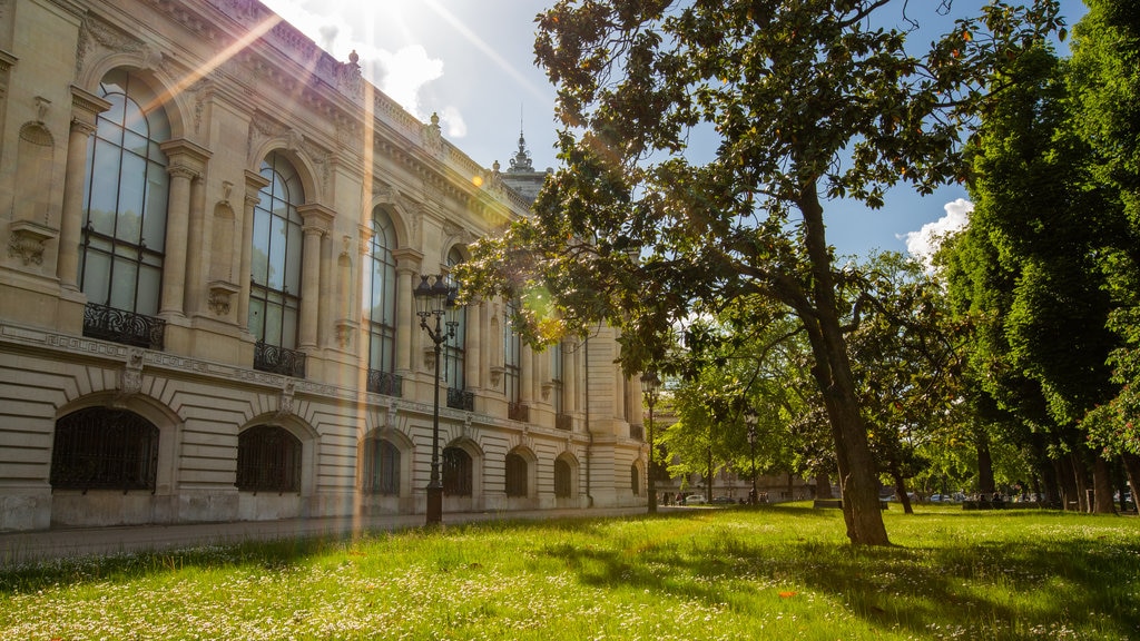 Petit Palais featuring a castle, heritage architecture and a park