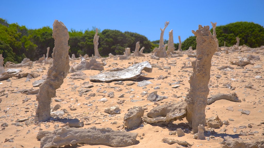 King Island which includes landscape views