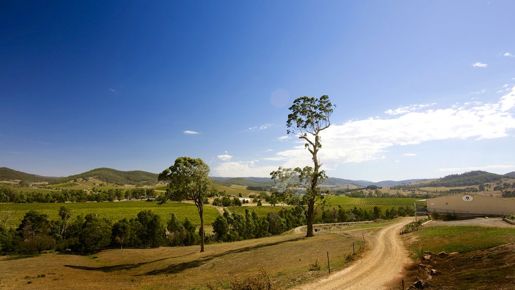 Yarra Valley showing landscape views