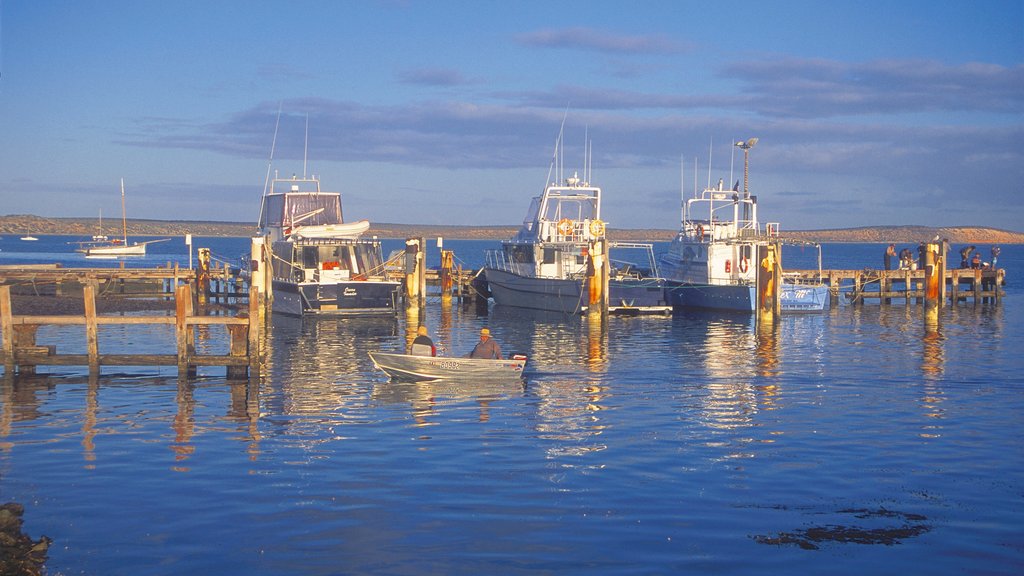 Shark Bay som viser en bugt eller havn og bådsejlads