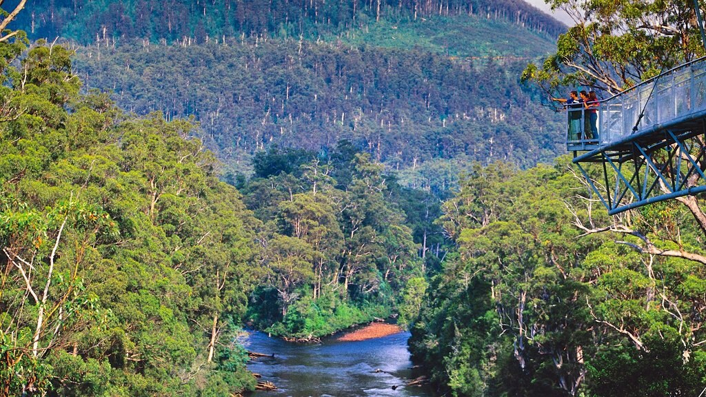 Geeveston que incluye bosques y un río o arroyo