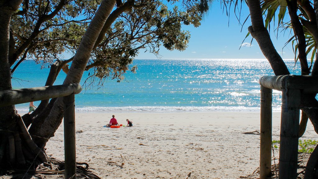 Kingscliff showing general coastal views and a beach