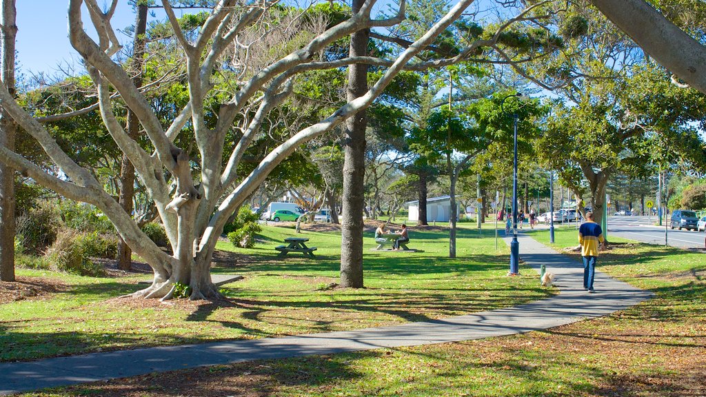 Kingscliff showing a park