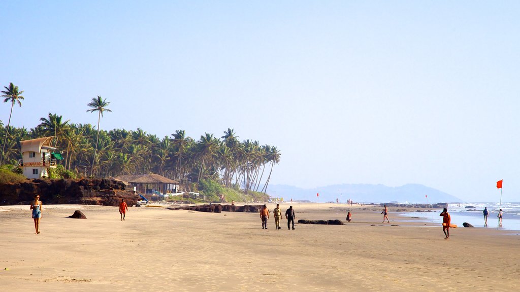 Playa de Ashvem que incluye vistas generales de la costa, una playa de arena y escenas tropicales