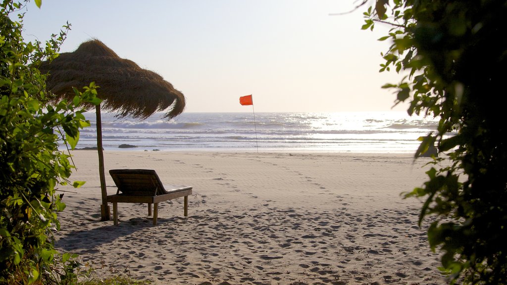 Ashvem Beach showing a sandy beach