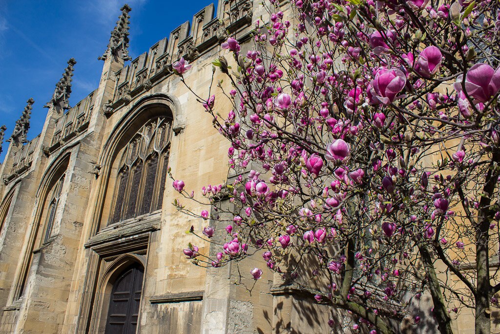 Oxford University