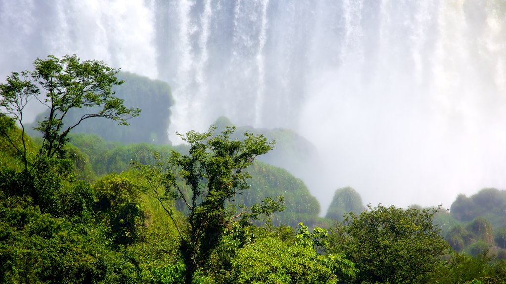 Cataratas del Iguazú ofreciendo una catarata