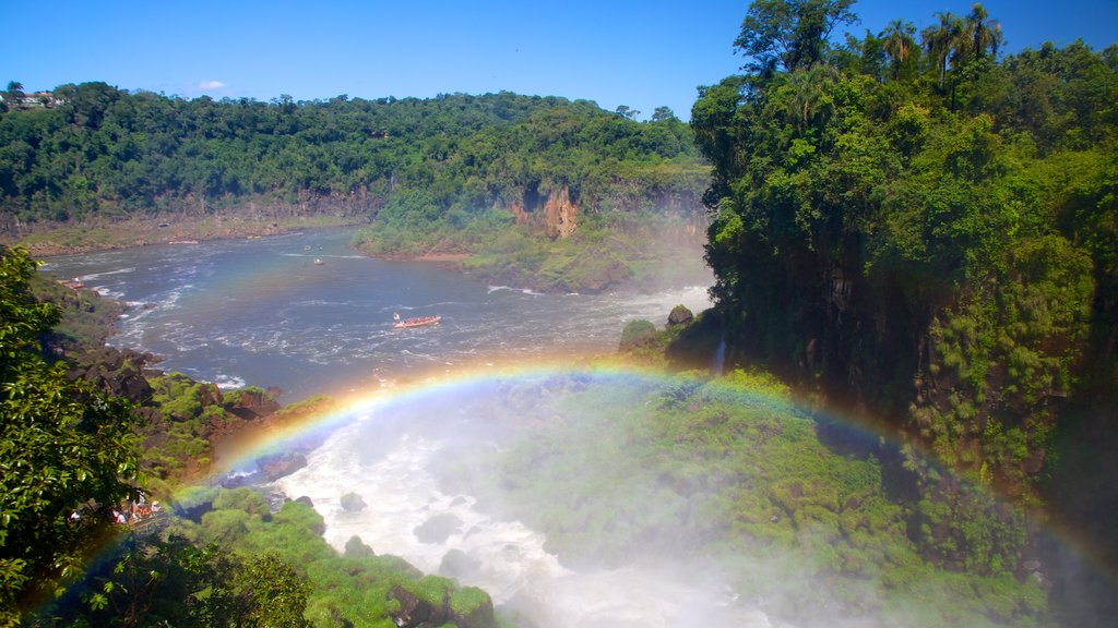 Cataratas del Iguazú ofreciendo un río o arroyo