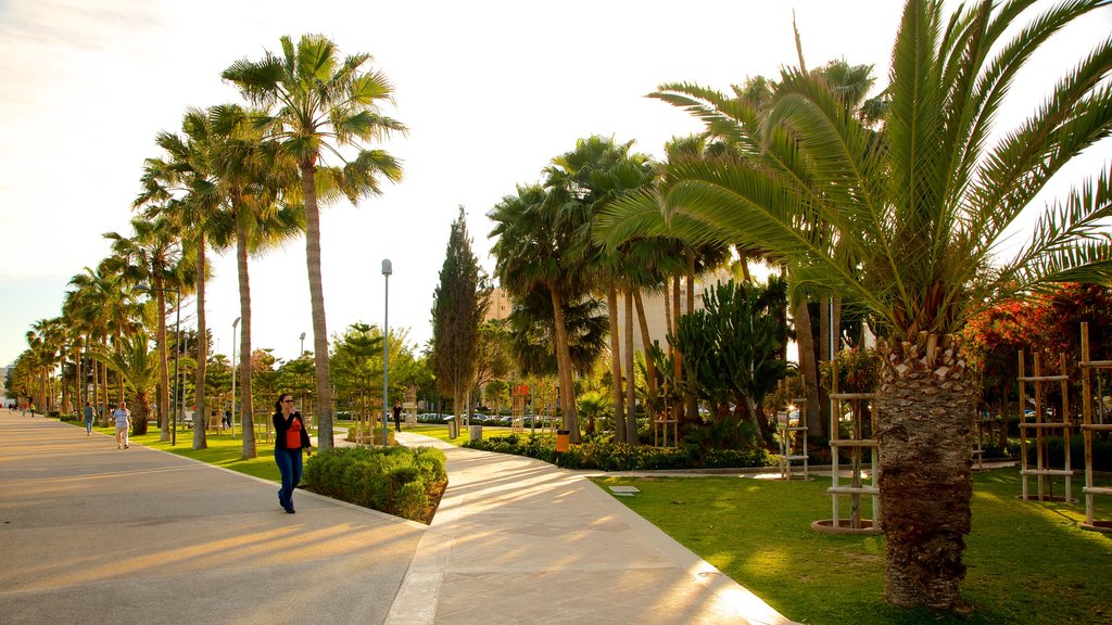 Limassol caracterizando um parque