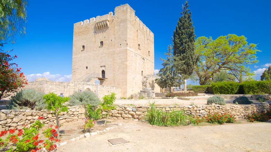 Kolossi Castle showing a garden, heritage architecture and a castle