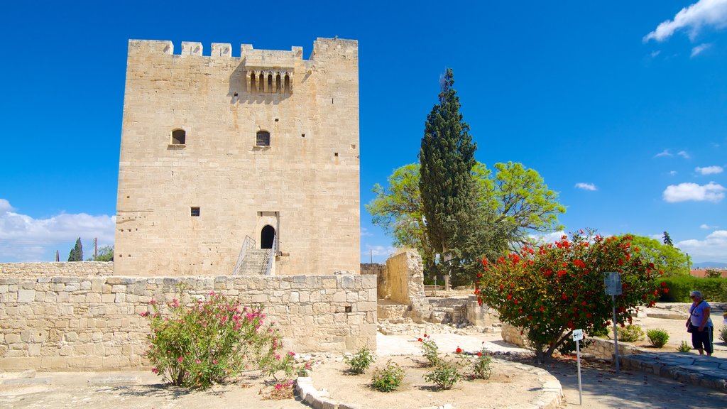 Castillo de Kolossi ofreciendo un parque, arquitectura patrimonial y un castillo