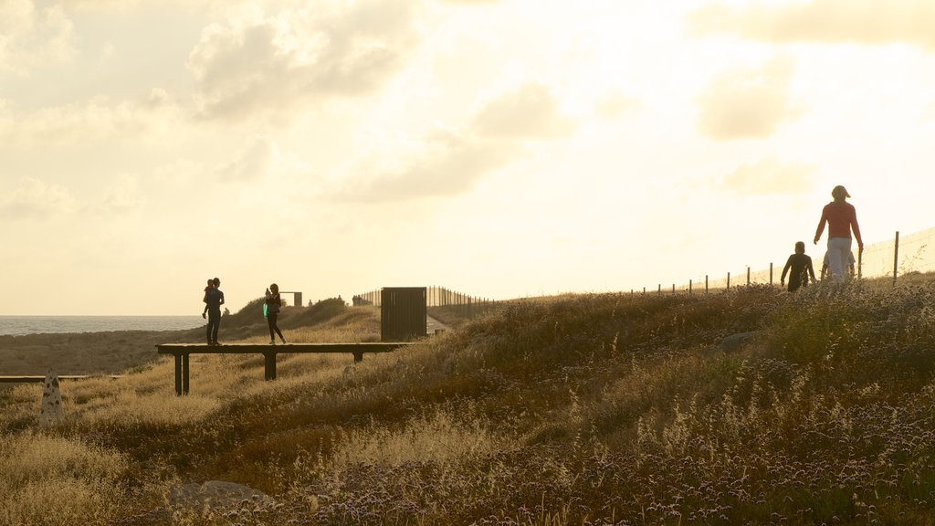 Puerto de Paphos que incluye vistas generales de la costa y una puesta de sol