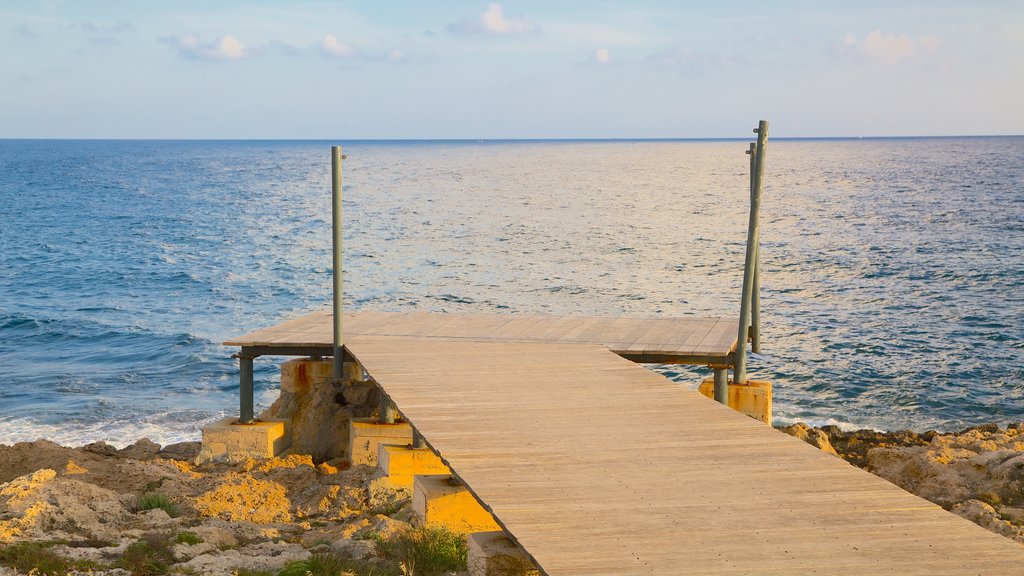 Paphos Harbour showing general coastal views