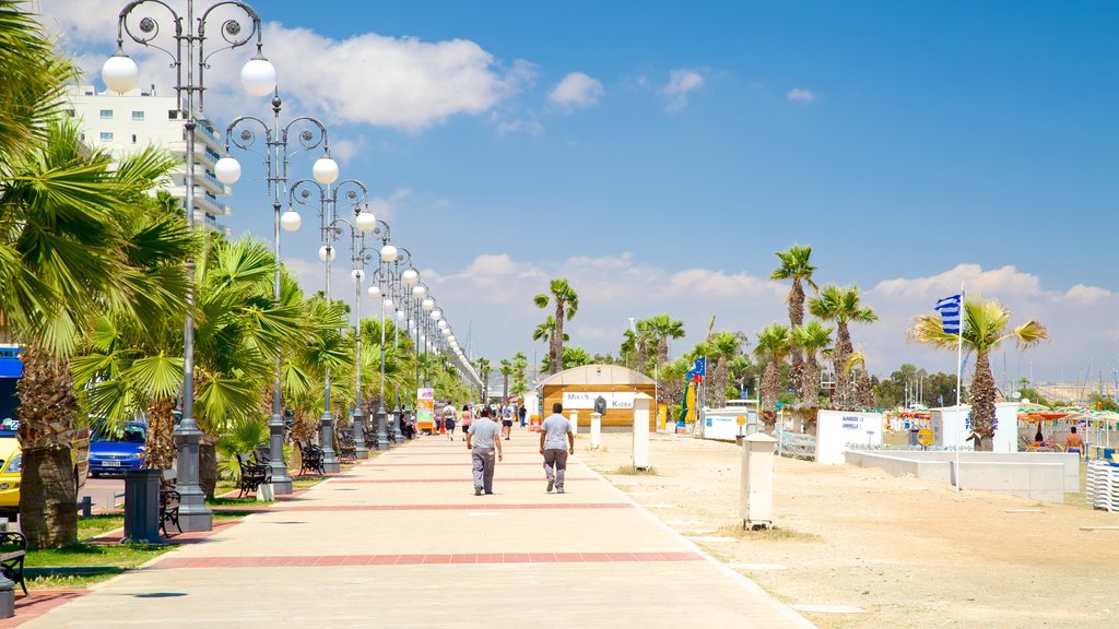 Finikoudes Beach featuring a sandy beach