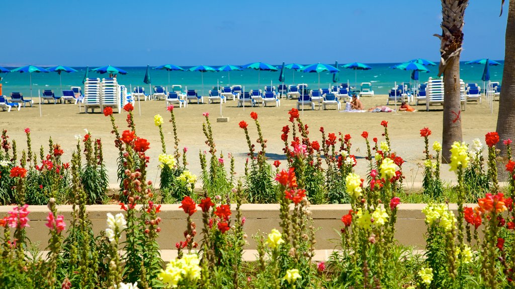 Playa de Finikoudes ofreciendo flores