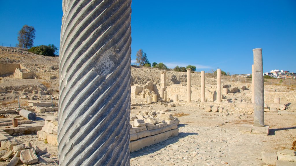 Ruinas de Amathus que incluye ruinas de un edificio