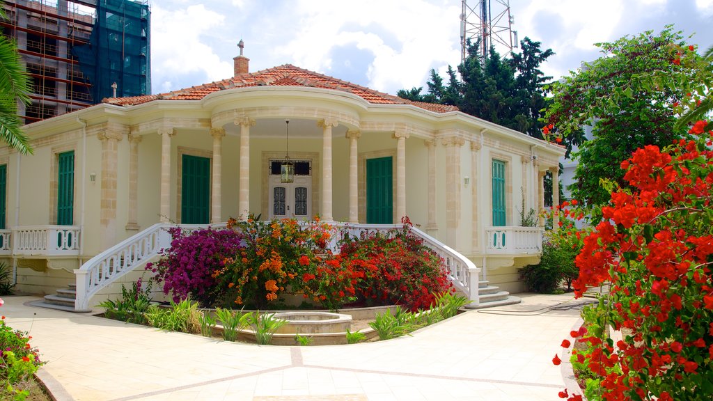 Paphos City Center showing flowers