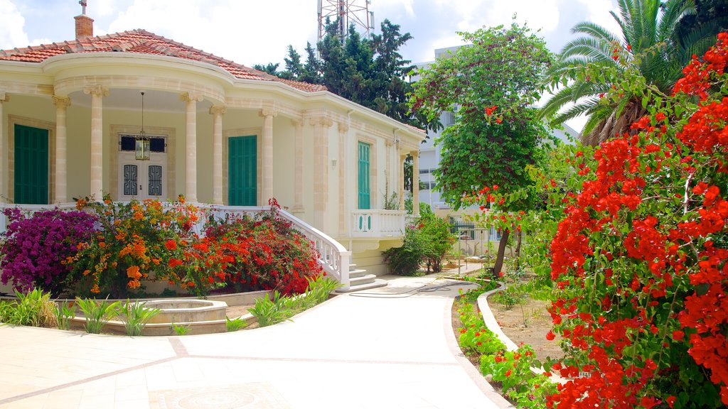 Paphos which includes a park, an administrative building and flowers