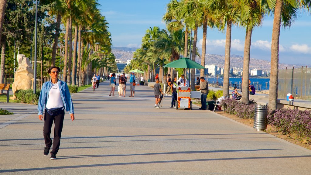 Limassol showing street scenes